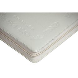 Pismo Święte Biblia Tysiąclecia skóra zamek duża wcięcia ecru